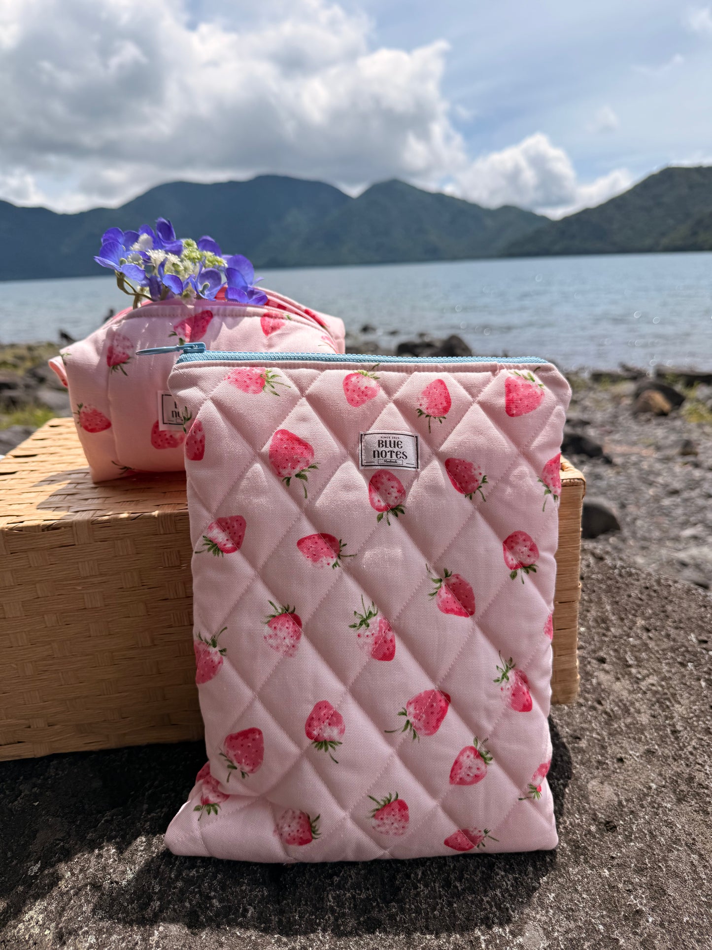 🍓 New Strawberry Booksleeves