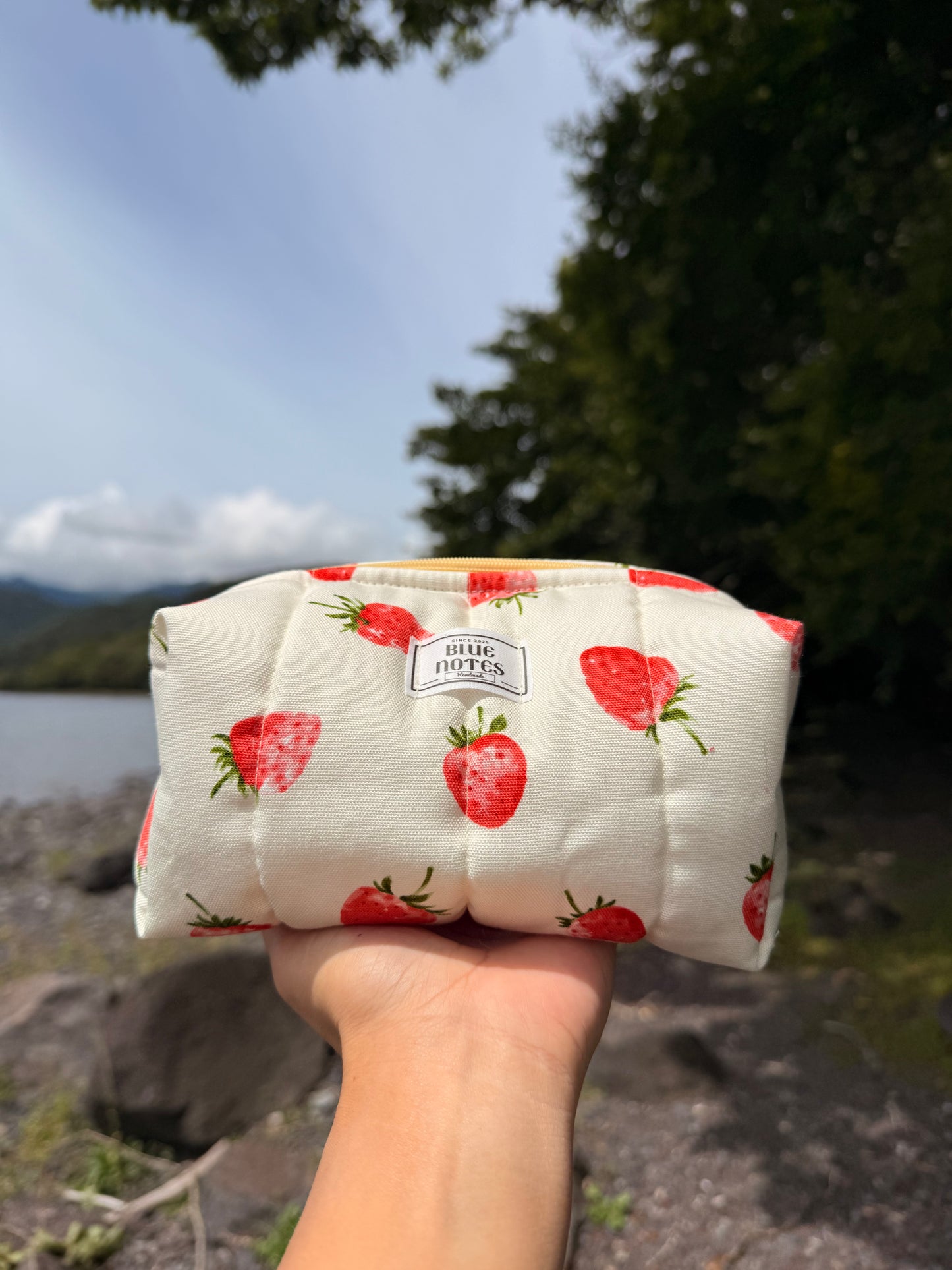 🍓 New Strawberry Make up pouches