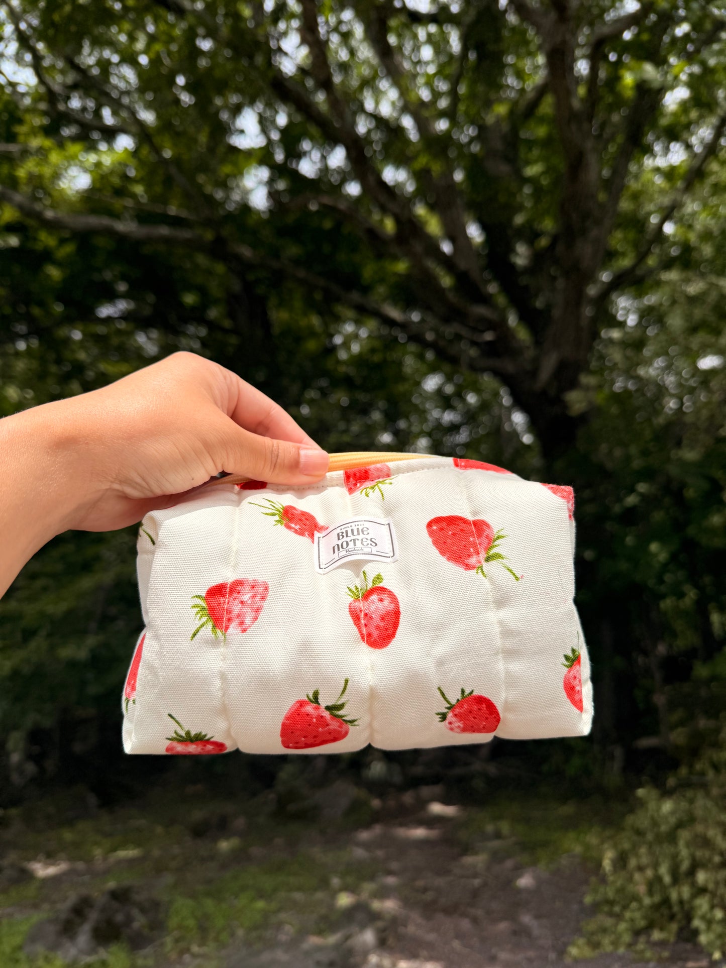 🍓 New Strawberry Make up pouches
