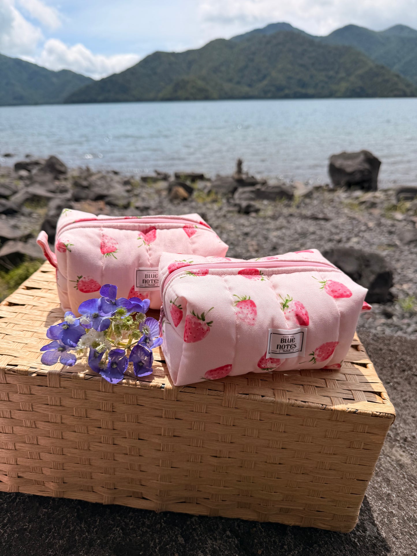 🍓 New Strawberry Make up pouches
