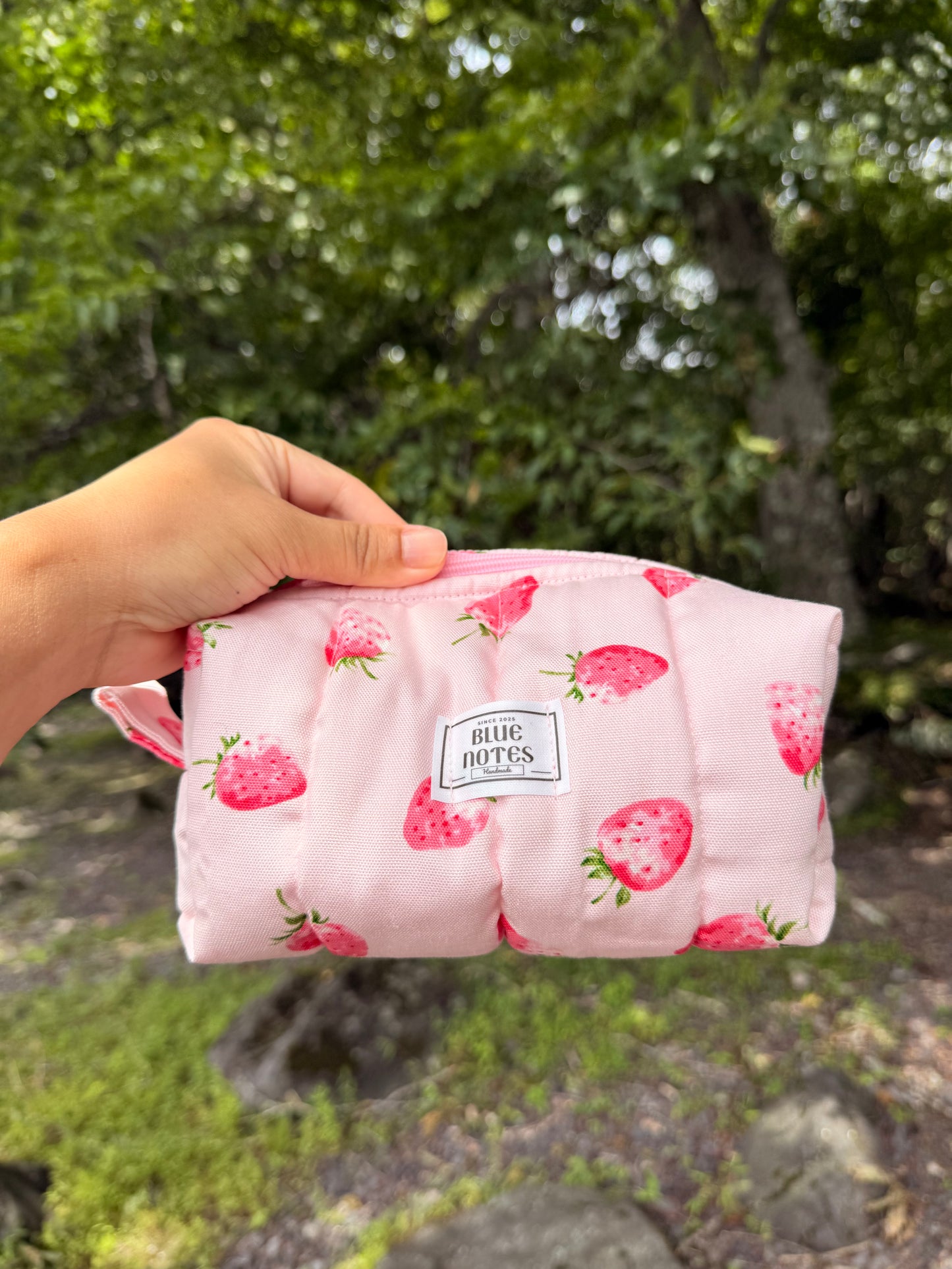 🍓 New Strawberry Make up pouches