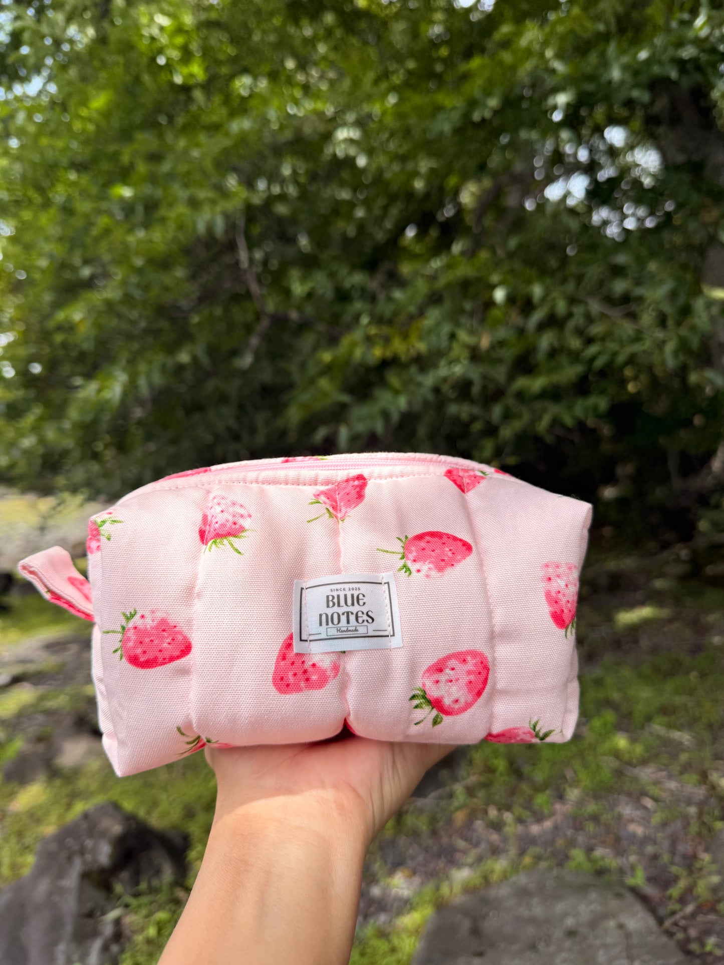 🍓 New Strawberry Make up pouches