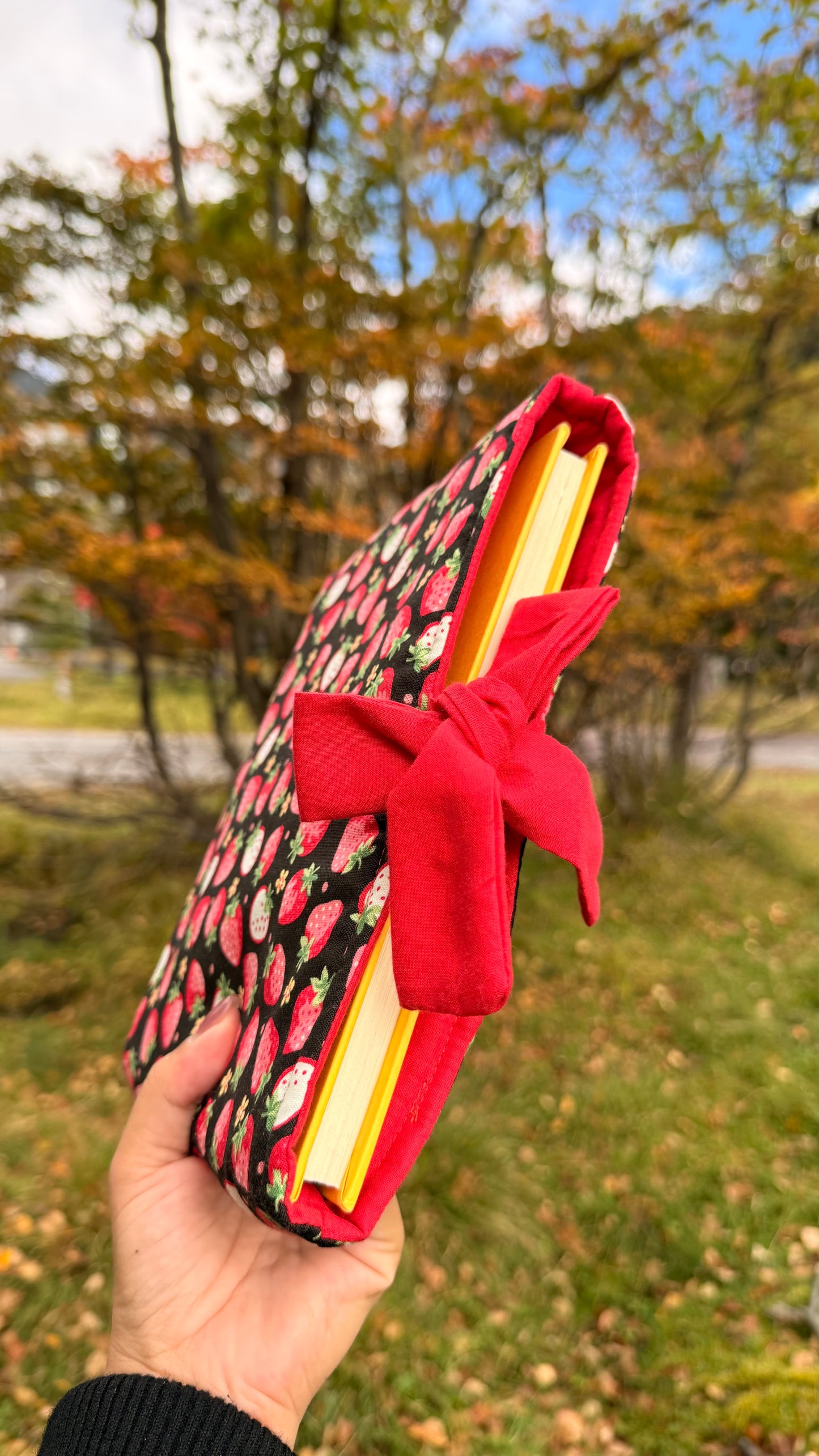 Strawberry Night Book sleeve