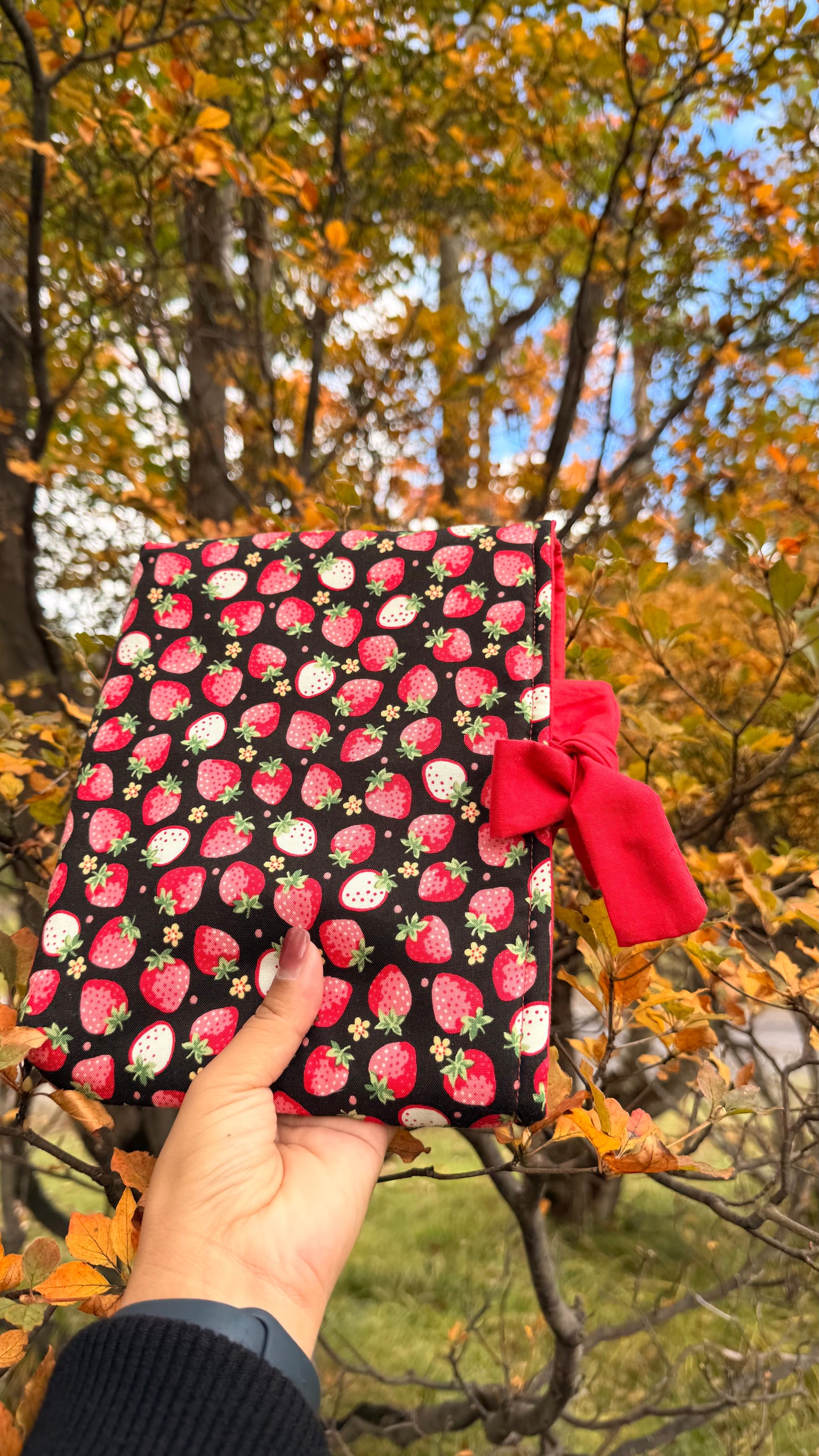 Strawberry Night Book sleeve