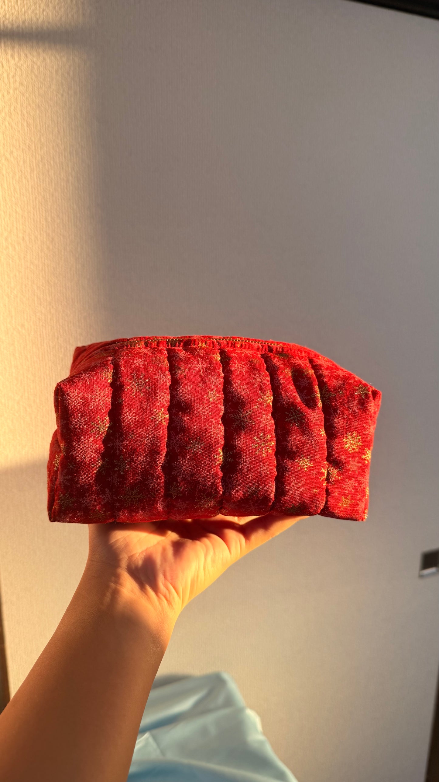 Claire Christmas Make up Pouch